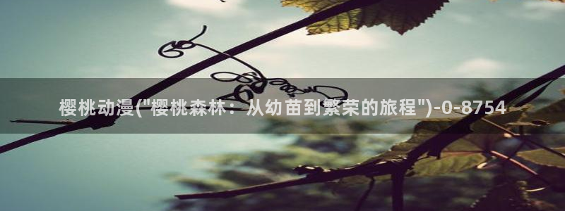 日本动漫樱花图片